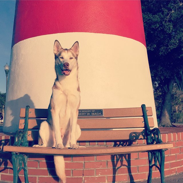 Apollo sitting on a bench beside a lighthouse — 2015