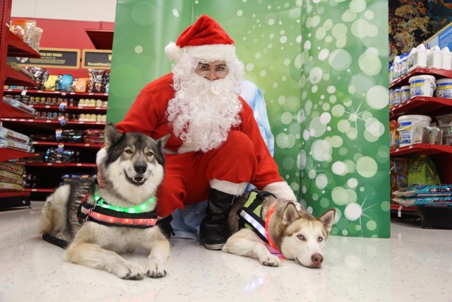 Apollo and a friend visiting Santa — 2015