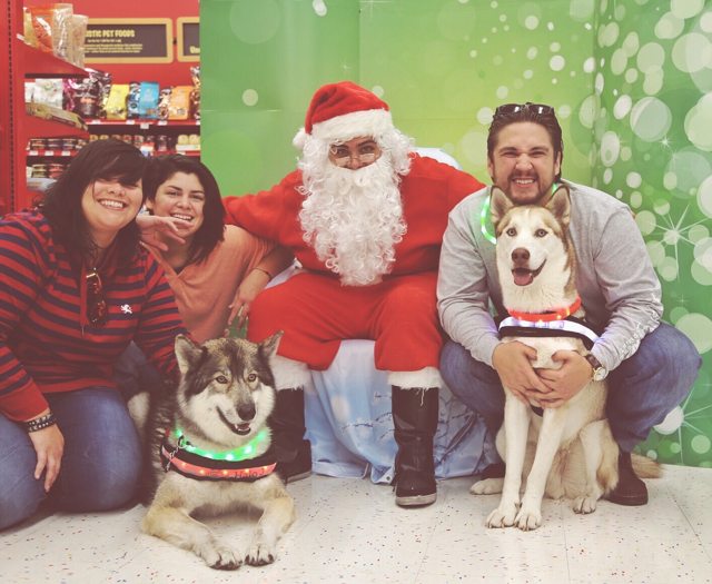 Apollo and his family posing with Santa — 2015