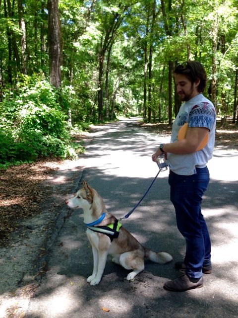 Apollo on a woodland walk with his family — 2015