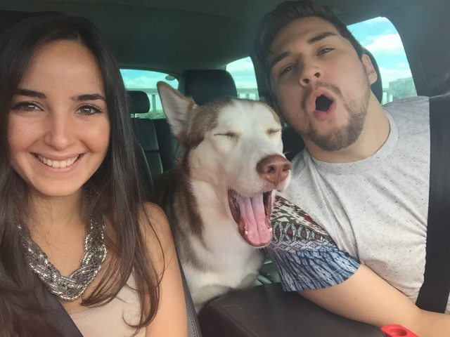 Apollo sharing a cheerful car ride with his family — 2014