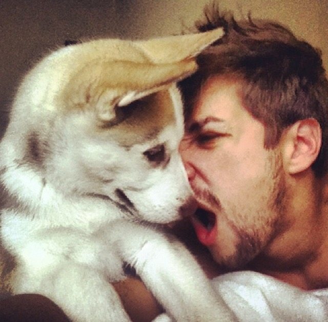Puppy Apollo cuddling with family — Year unknown