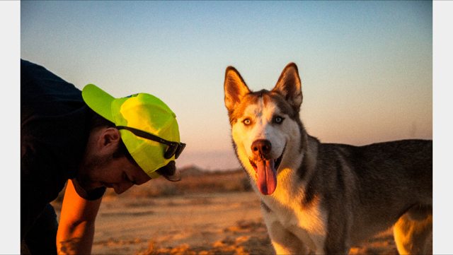 Apollo enjoying golden-hour playtime with family — Year unknown