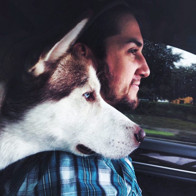 Apollo leaning close to his family on a car ride — 2014